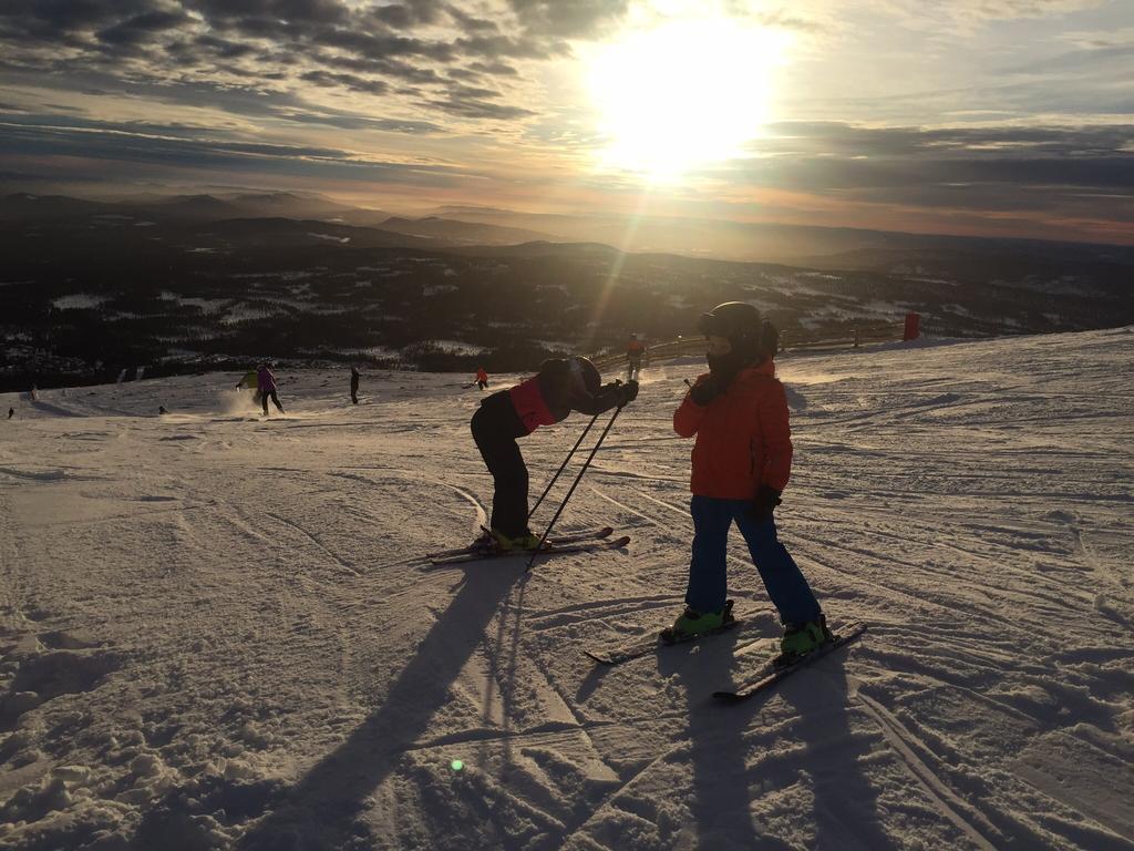 Trysil Alpin 16A Top Location Bagian luar foto