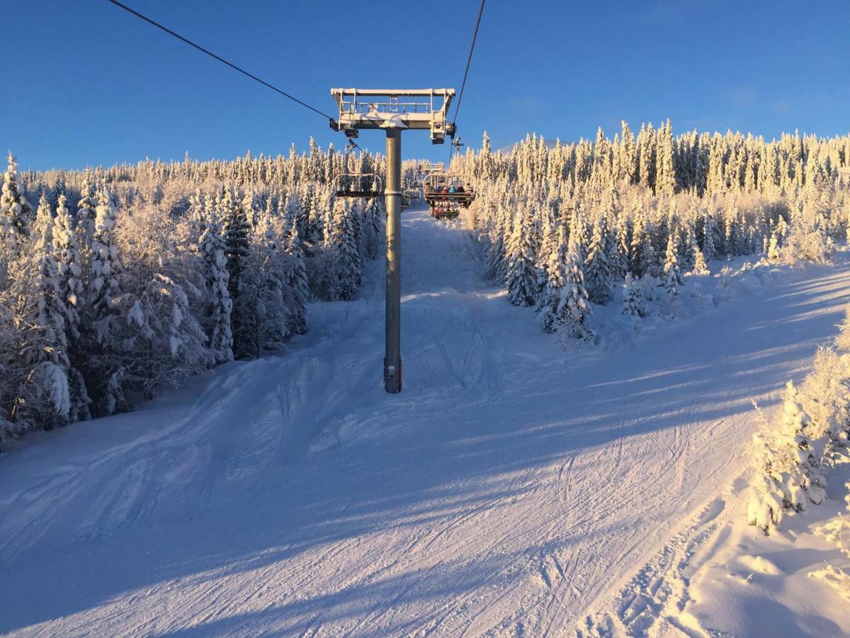 Trysil Alpin 16A Top Location Bagian luar foto