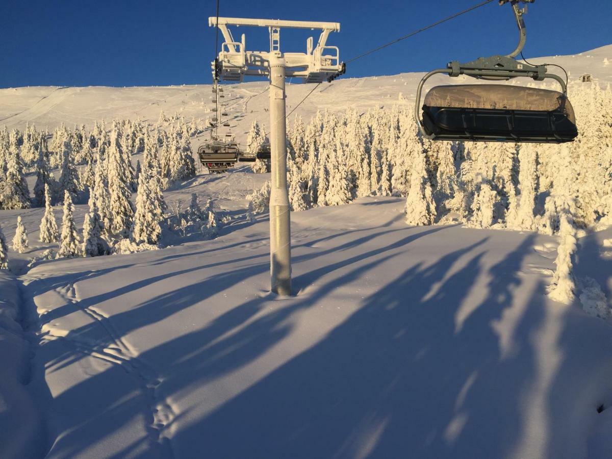 Trysil Alpin 16A Top Location Bagian luar foto